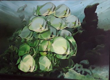 Œuvre originale à vendre. Petit banc de Platax, poissons tropicaux réunis sur un haut fond.