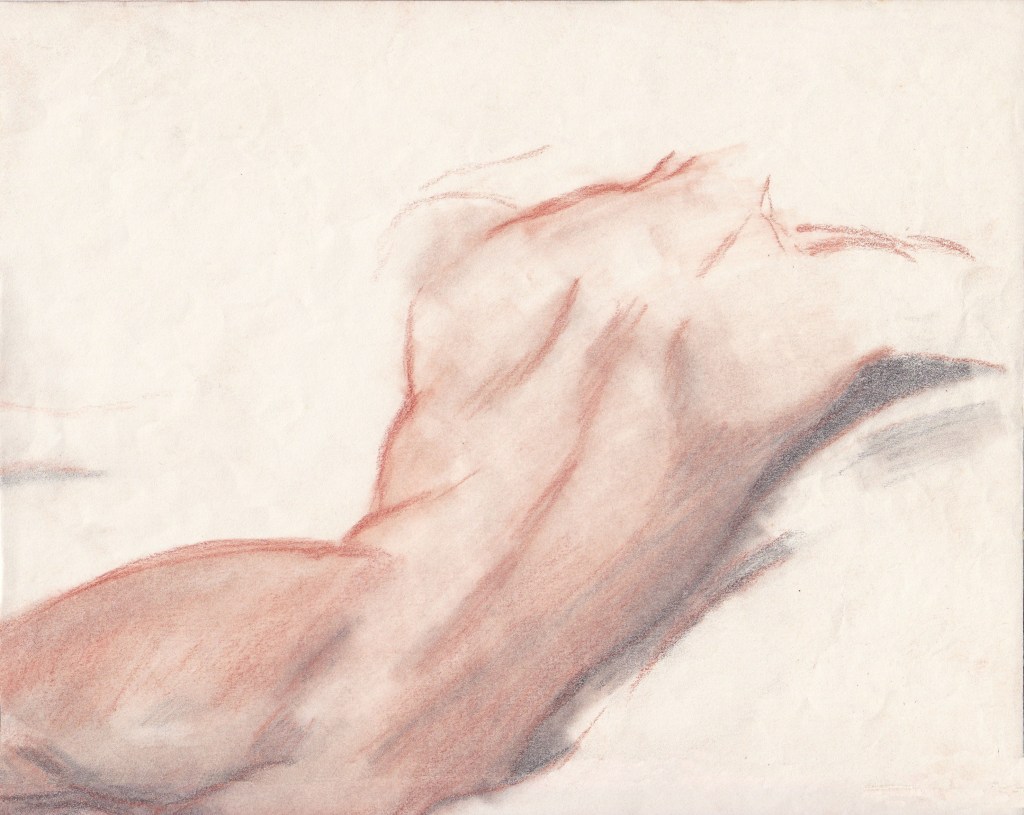 Drawing of a human torso in a relaxed position, with subtle shading and lines capturing the form.